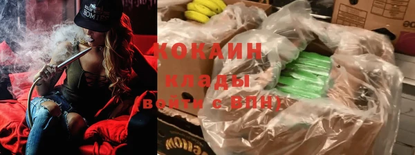 эйфоретик Богородск