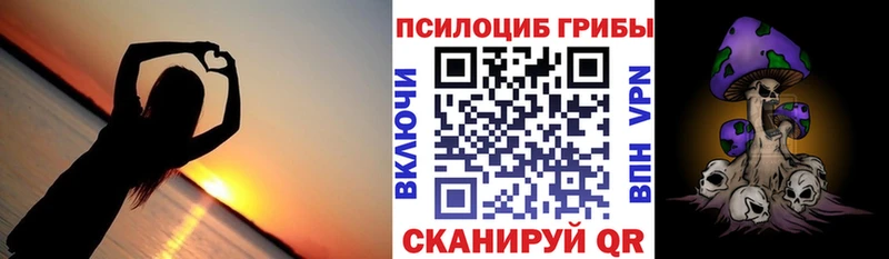 где купить наркотик  Козловка  Псилоцибиновые грибы Magic Shrooms 