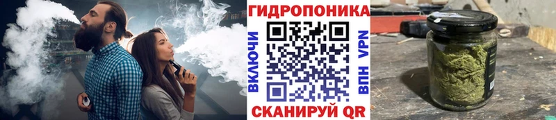 дарнет шоп  Козловка  МАРИХУАНА сатива 
